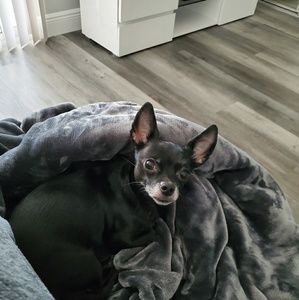 Meet your Posher, Marilyn